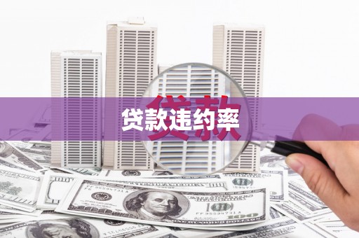 安县贷款违约率