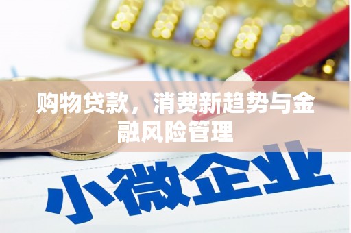安县购物贷款，消费新趋势与金融风险管理