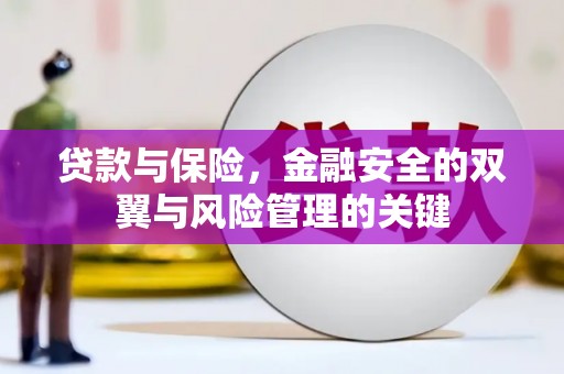 安县贷款与保险，金融安全的双翼与风险管理的关键