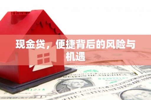 安县现金贷，便捷背后的风险与机遇
