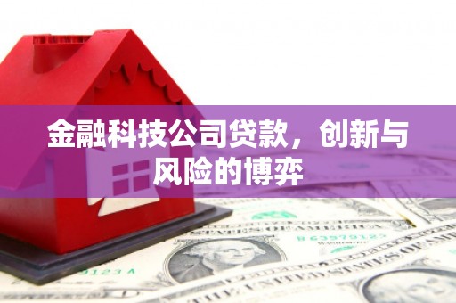 安县金融科技公司贷款，创新与风险的博弈