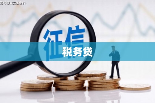 安县税务贷