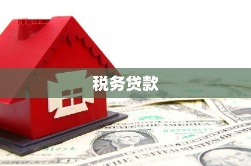 安县税务贷款