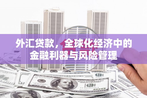 安县外汇贷款，全球化经济中的金融利器与风险管理