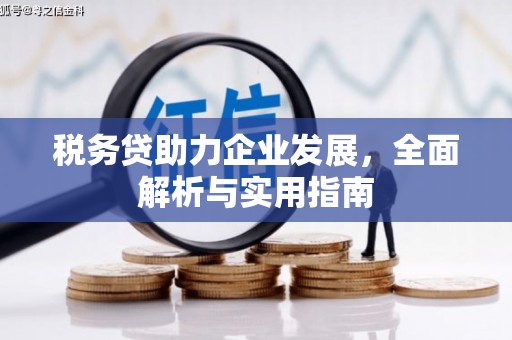 安县税务贷助力企业发展，全面解析与实用指南