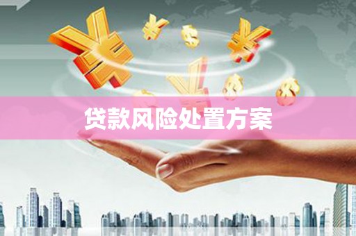 安县贷款风险处置方案
