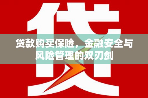 安县贷款购买保险，金融安全与风险管理的双刃剑