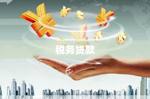 安县税务贷款