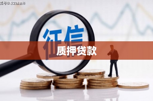 安县质押贷款