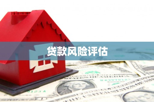 安县贷款风险评估