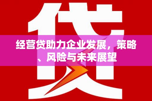 安县经营贷助力企业发展，策略、风险与未来展望