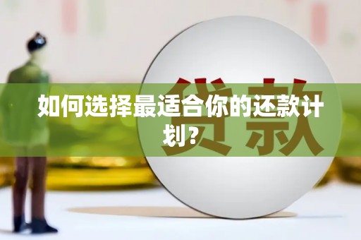 安县如何选择最适合你的还款计划？