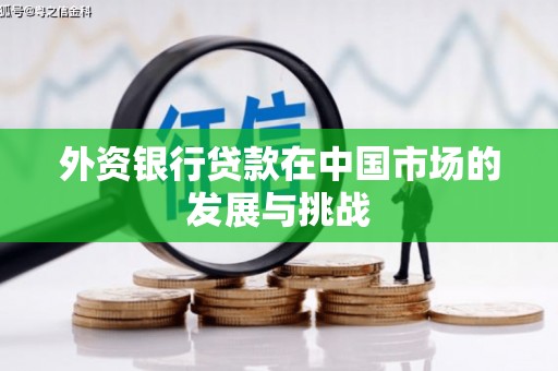 安县外资银行贷款在中国市场的发展与挑战