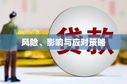 安县风险、影响与应对策略