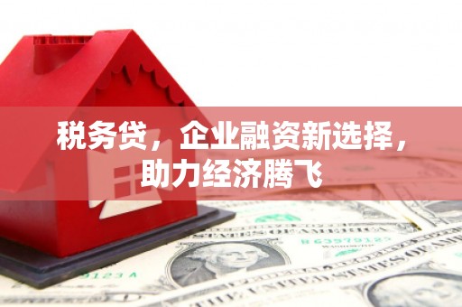 安县税务贷，企业融资新选择，助力经济腾飞