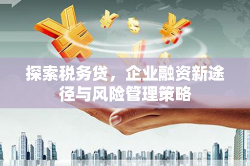 安县探索税务贷，企业融资新途径与风险管理策略
