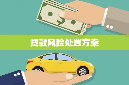 安县贷款风险处置方案