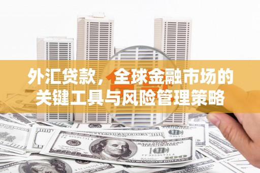 安县外汇贷款，全球金融市场的关键工具与风险管理策略