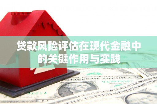 安县贷款风险评估在现代金融中的关键作用与实践