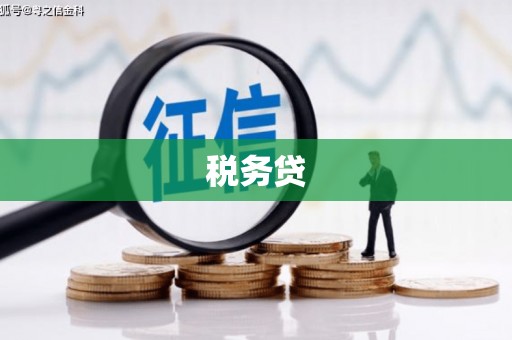 安县税务贷