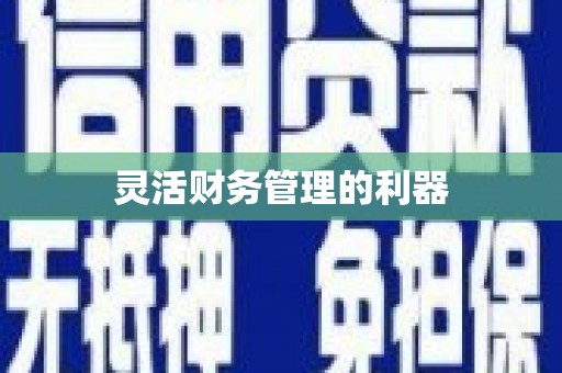 安县灵活财务管理的利器