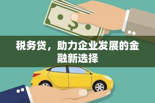 安县税务贷，助力企业发展的金融新选择
