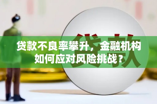安县贷款不良率攀升，金融机构如何应对风险挑战？