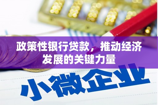安县政策性银行贷款，推动经济发展的关键力量