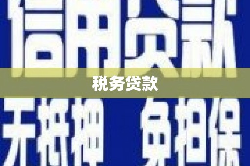 安县税务贷款