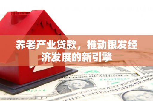 安县养老产业贷款，推动银发经济发展的新引擎