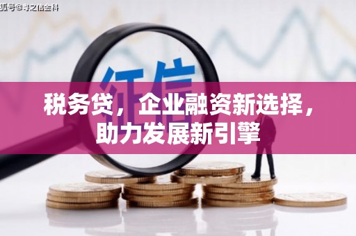 安县税务贷，企业融资新选择，助力发展新引擎