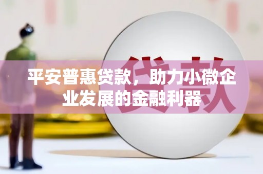 安县平安普惠贷款，助力小微企业发展的金融利器