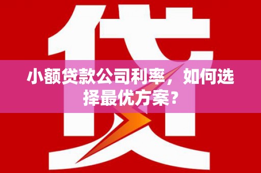 安县小额贷款公司利率，如何选择最优方案？