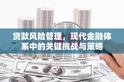 安县贷款风险管理，现代金融体系中的关键挑战与策略