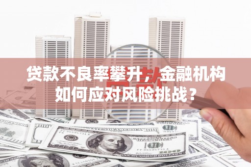 安县贷款不良率攀升，金融机构如何应对风险挑战？