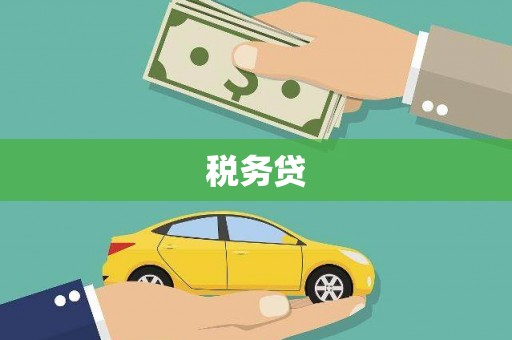 安县税务贷