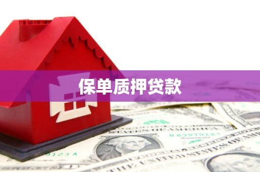 安县保单质押贷款