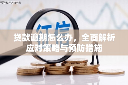 安县贷款逾期怎么办，全面解析应对策略与预防措施