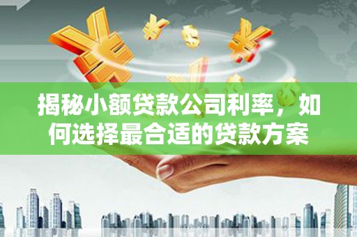 安县揭秘小额贷款公司利率，如何选择最合适的贷款方案