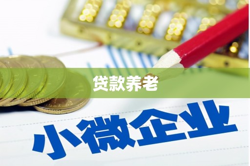 安县贷款养老