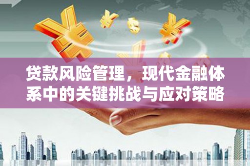 安县贷款风险管理，现代金融体系中的关键挑战与应对策略