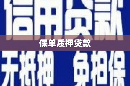 安县保单质押贷款