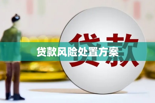 安县贷款风险处置方案