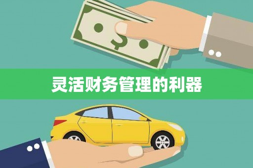 安县灵活财务管理的利器