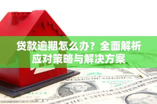 安县贷款逾期怎么办？全面解析应对策略与解决方案