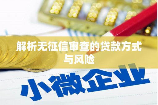 安县解析无征信审查的贷款方式与风险
