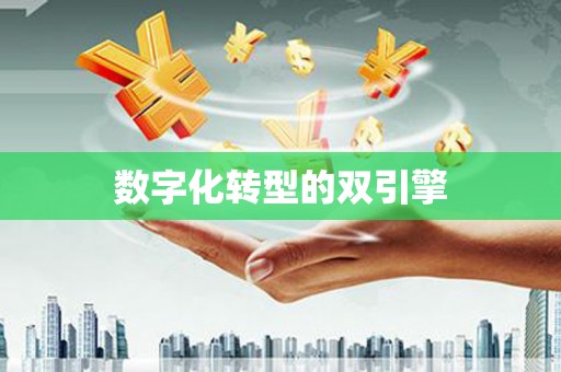 安县数字化转型的双引擎