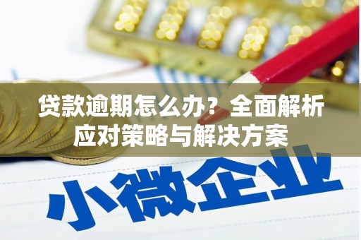 安县贷款逾期怎么办？全面解析应对策略与解决方案
