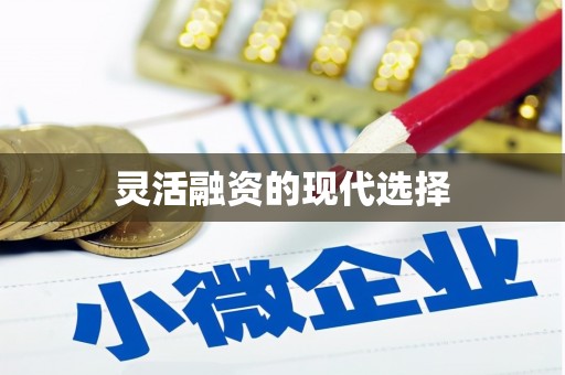安县灵活融资的现代选择