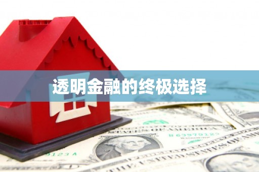 安县透明金融的终极选择